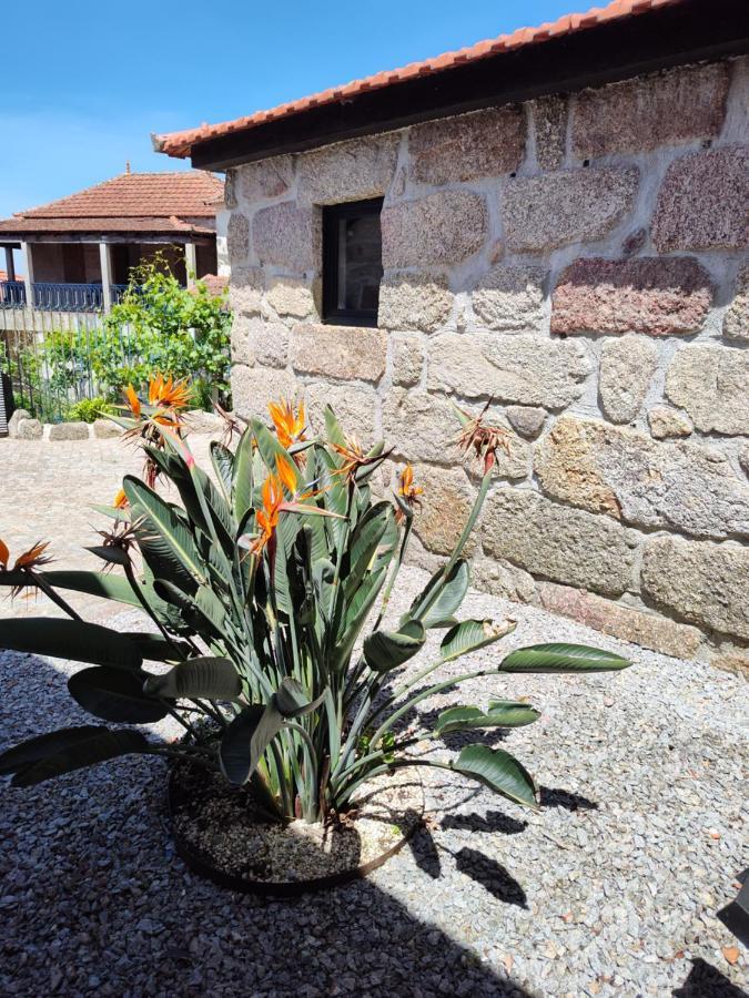 Casas Do Arrabalde Villa Amarante Exterior foto